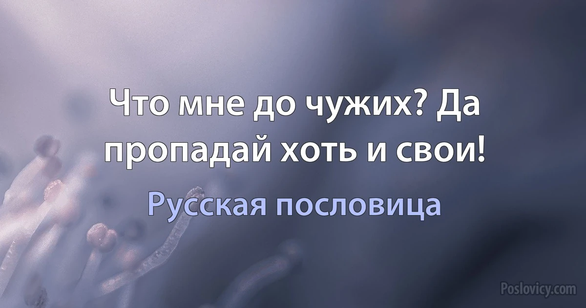 Что мне до чужих? Да пропадай хоть и свои! (Русская пословица)