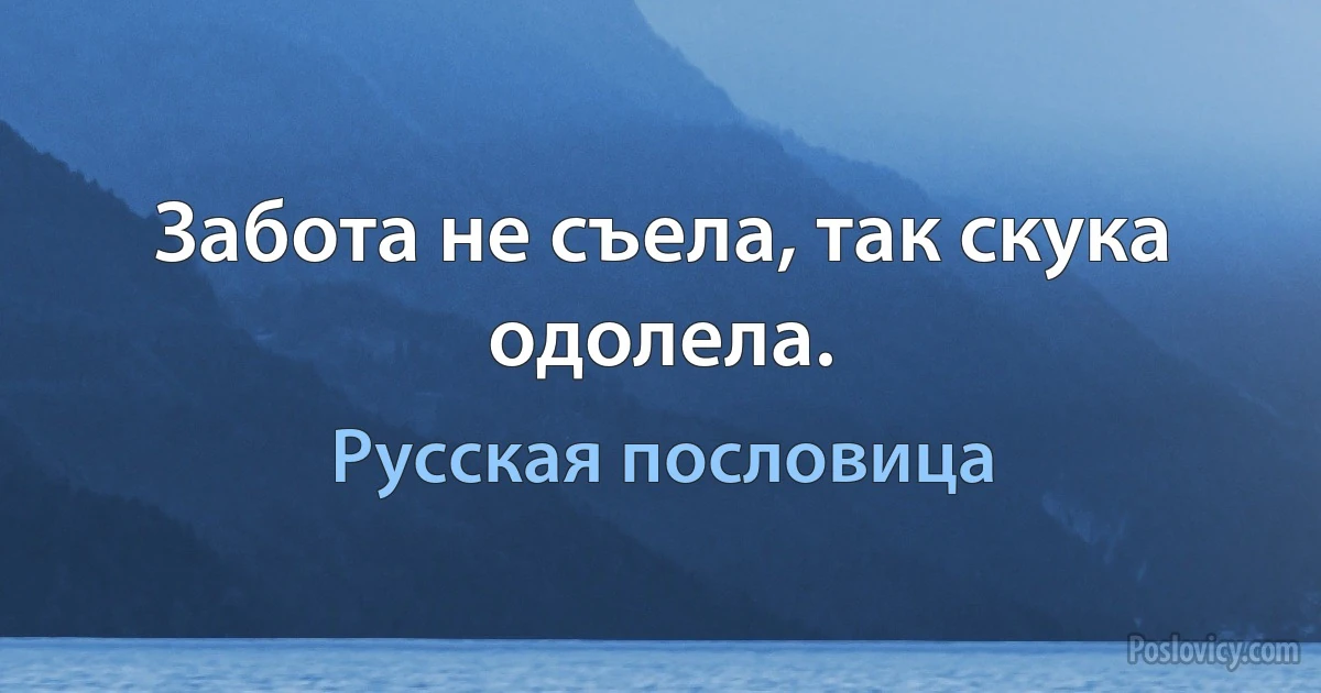 Забота не съела, так скука одолела. (Русская пословица)