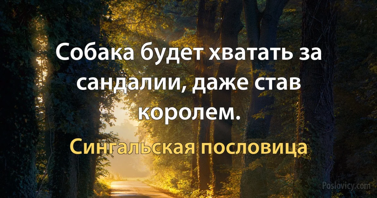 Собака будет хватать за сандалии, даже став королем. (Сингальская пословица)