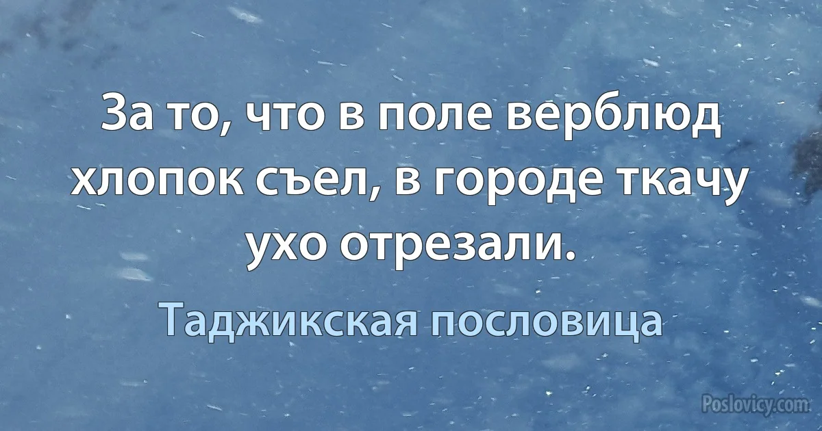 За то, что в поле верблюд хлопок съел, в городе ткачу ухо отрезали. (Таджикская пословица)