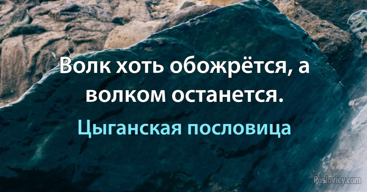 Волк хоть обожрётся, а волком останется. (Цыганская пословица)