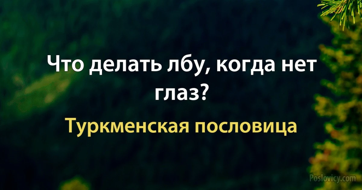 Что делать лбу, когда нет глаз? (Туркменская пословица)