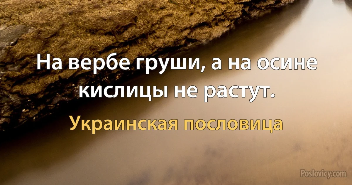 На вербе груши, а на осине кислицы не растут. (Украинская пословица)