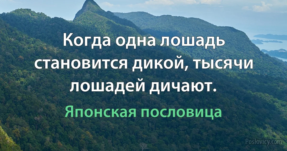 Когда одна лошадь становится дикой, тысячи лошадей дичают. (Японская пословица)