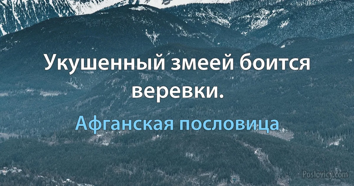 Укушенный змеей боится веревки. (Афганская пословица)