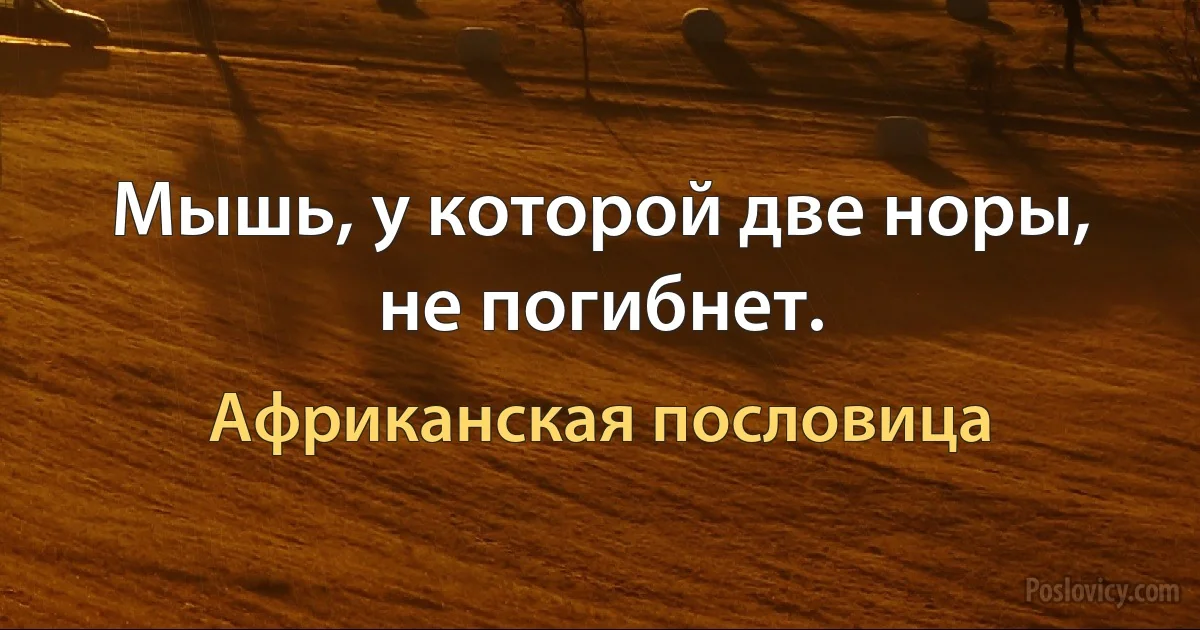 Мышь, у которой две норы, не погибнет. (Африканская пословица)