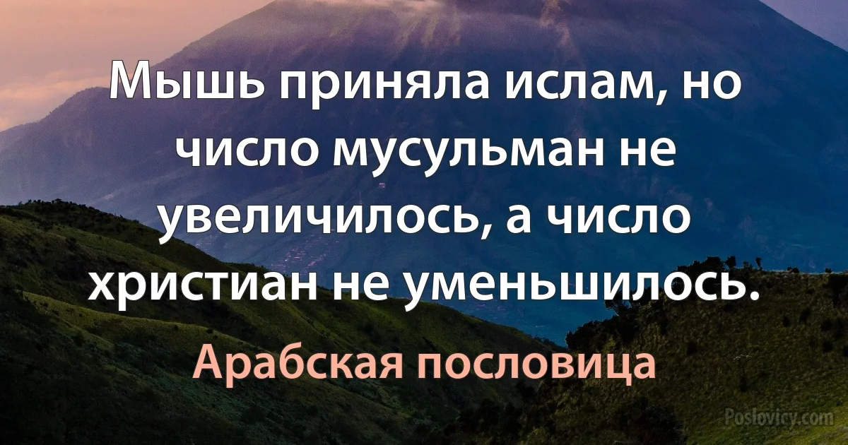 Мышь приняла ислам, но число мусульман не увеличилось, а число христиан не уменьшилось. (Арабская пословица)