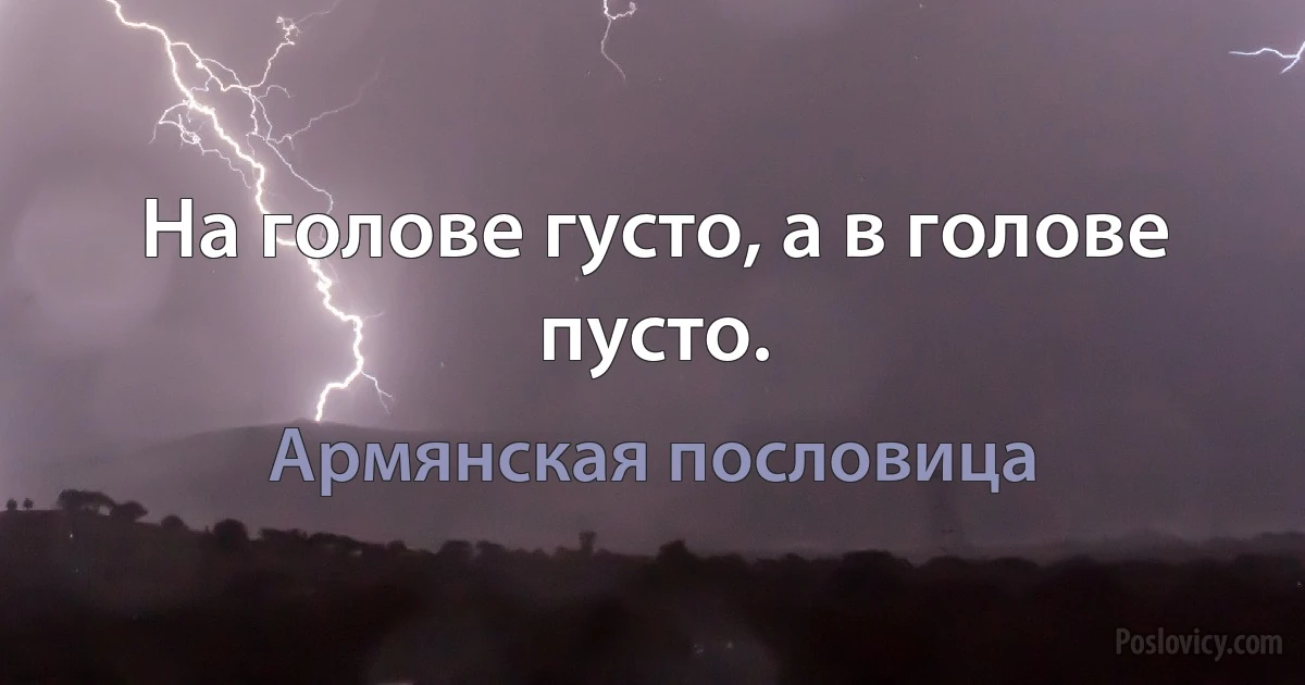 На голове густо, а в голове пусто. (Армянская пословица)