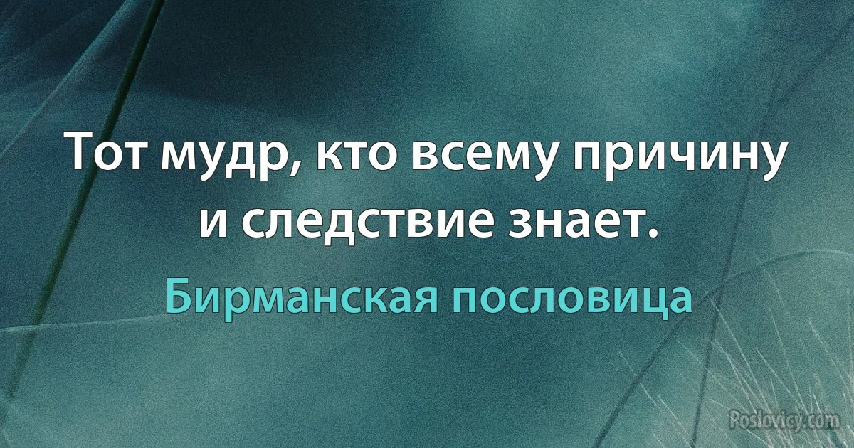 Тот мудр, кто всему причину и следствие знает. (Бирманская пословица)