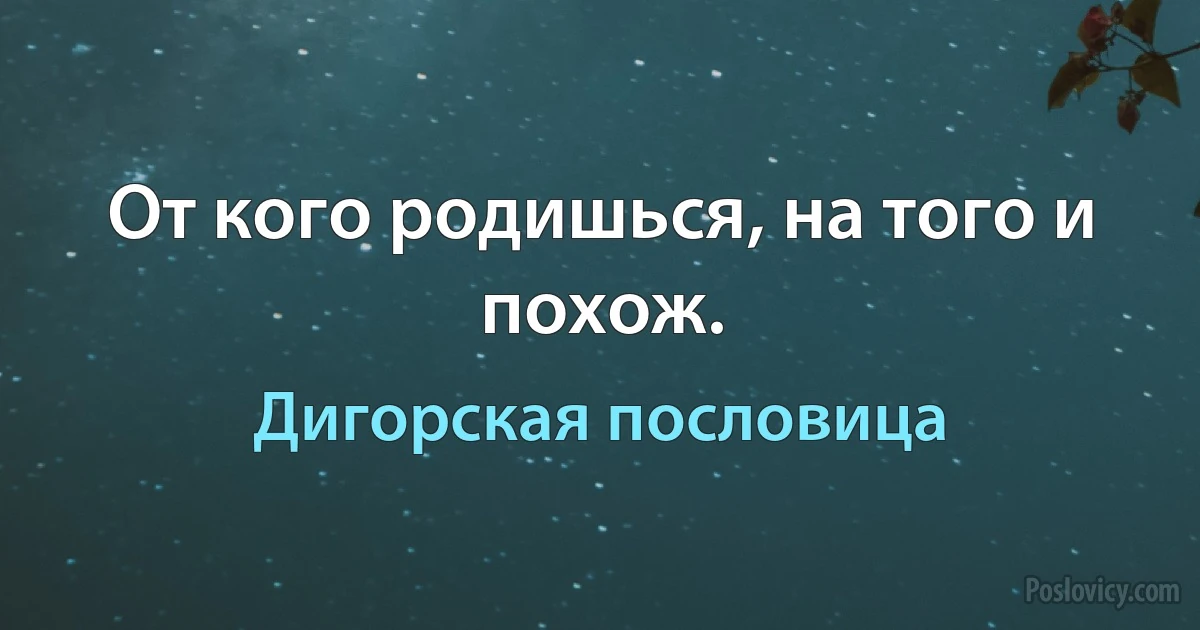 От кого родишься, на того и похож. (Дигорская пословица)