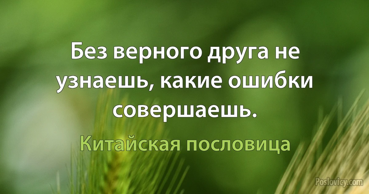 Без верного друга не узнаешь, какие ошибки совершаешь. (Китайская пословица)