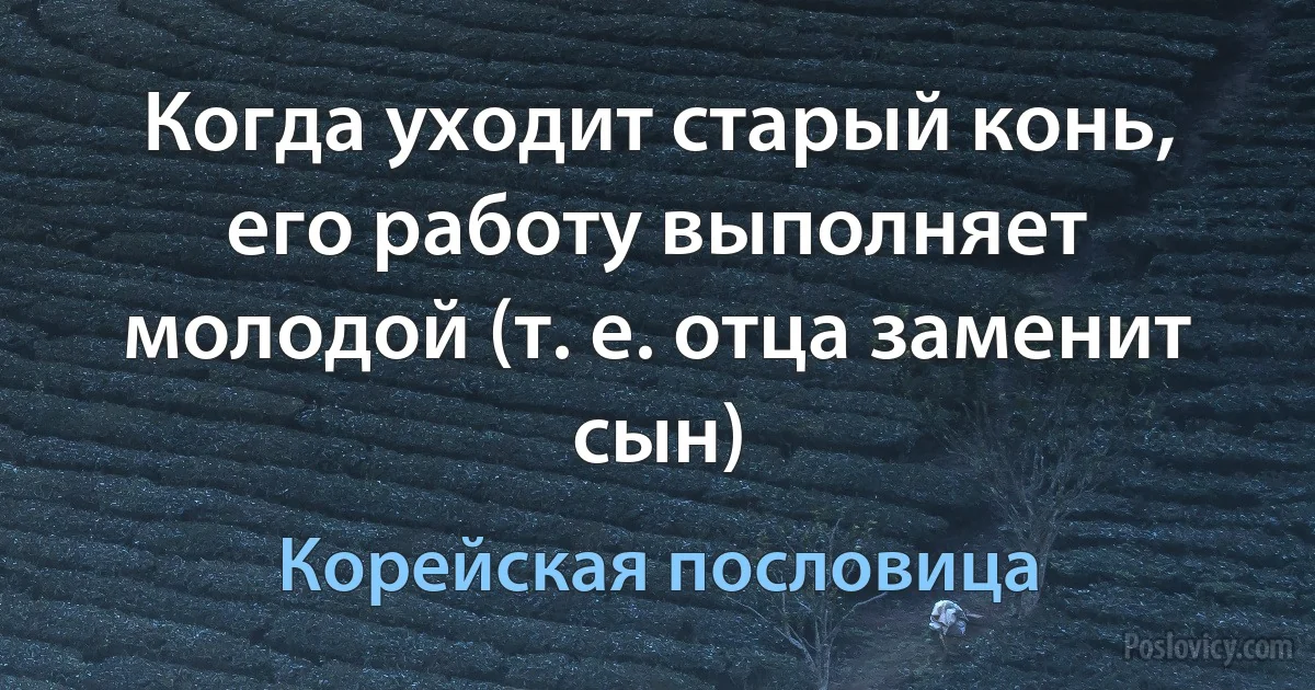 Когда уходит старый конь, его работу выполняет молодой (т. е. отца заменит сын) (Корейская пословица)