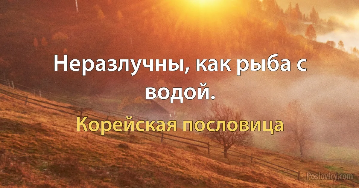 Неразлучны, как рыба с водой. (Корейская пословица)