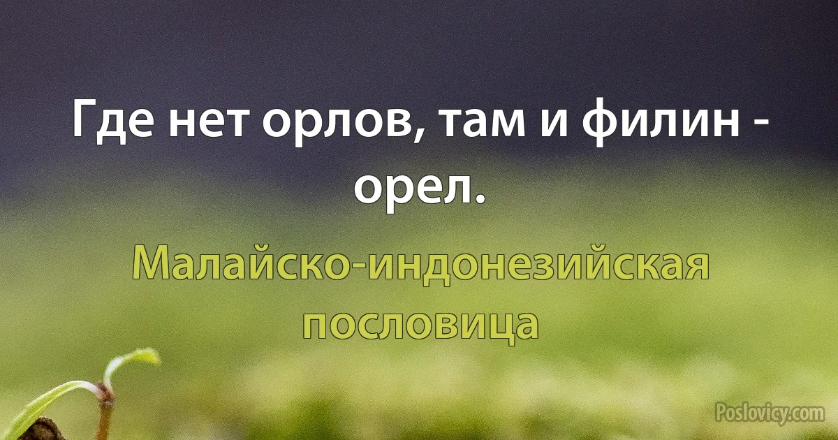 Где нет орлов, там и филин - орел. (Малайско-индонезийская пословица)