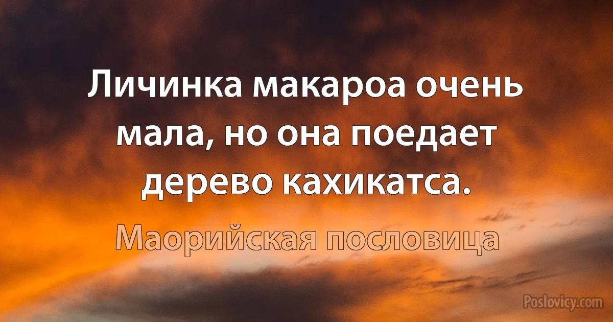 Личинка макароа очень мала, но она поедает дерево кахикатса. (Маорийская пословица)