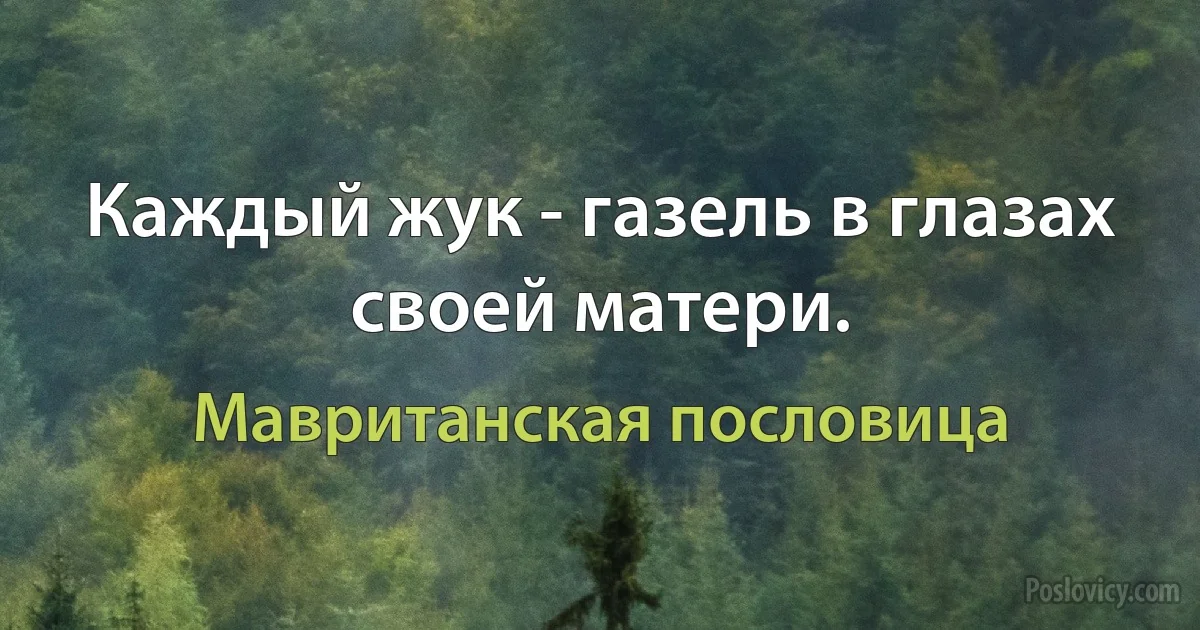 Каждый жук - газель в глазах своей матери. (Мавританская пословица)