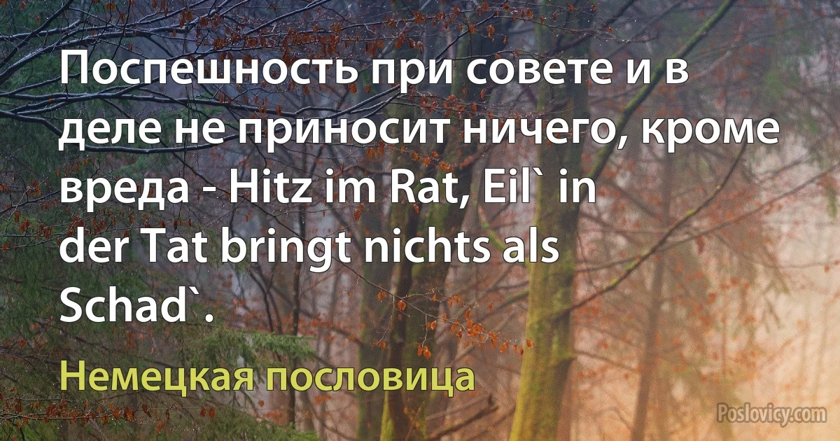 Поспешность при совете и в деле не приносит ничего, кроме вреда - Hitz im Rat, Eil` in der Tat bringt nichts als Schad`. (Немецкая пословица)