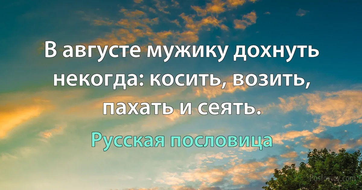 В августе мужику дохнуть некогда: косить, возить, пахать и сеять. (Русская пословица)