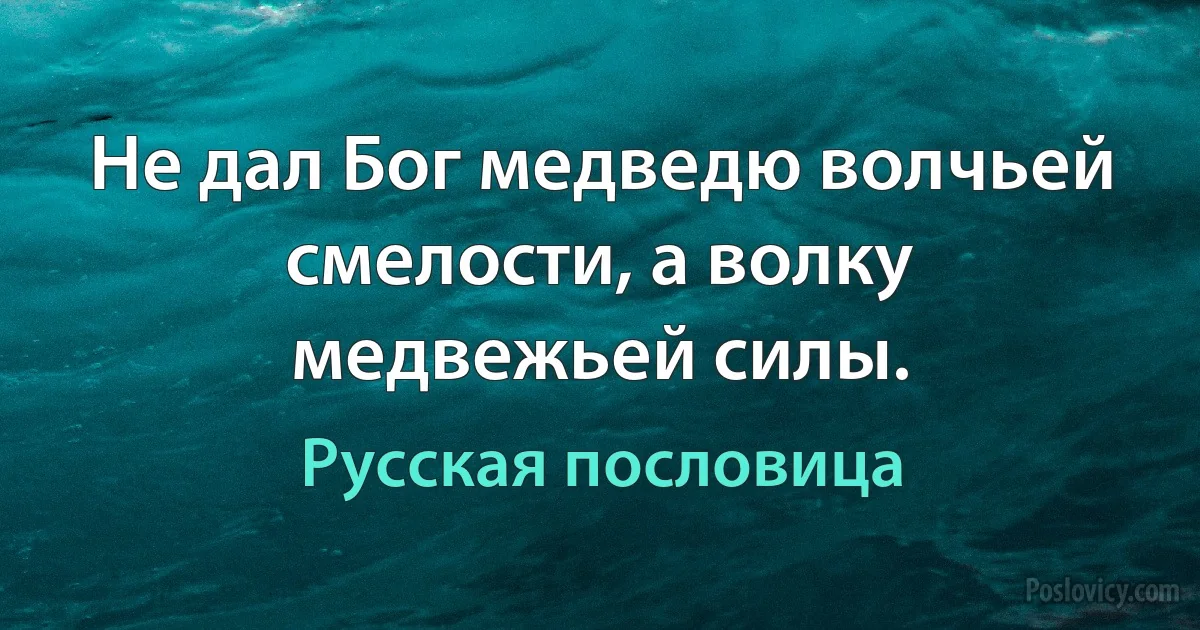 Не дал Бог медведю волчьей смелости, а волку медвежьей силы. (Русская пословица)