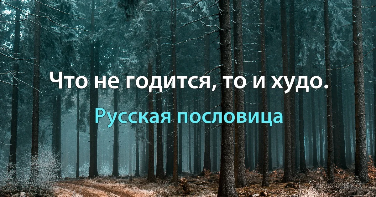 Что не годится, то и худо. (Русская пословица)