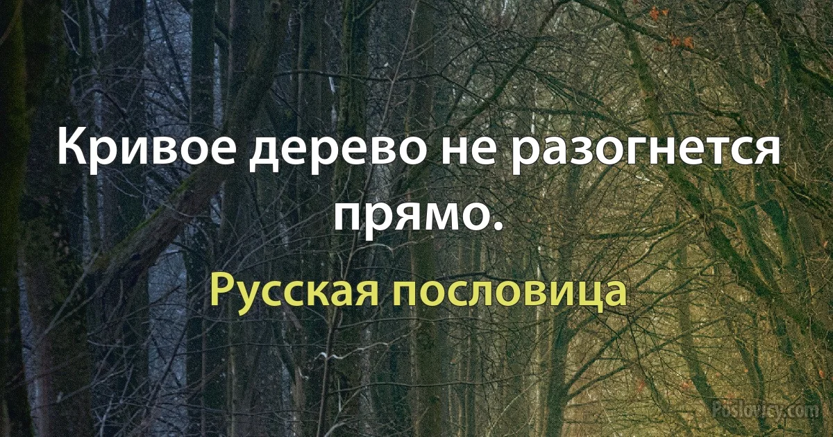 Кривое дерево не разогнется прямо. (Русская пословица)