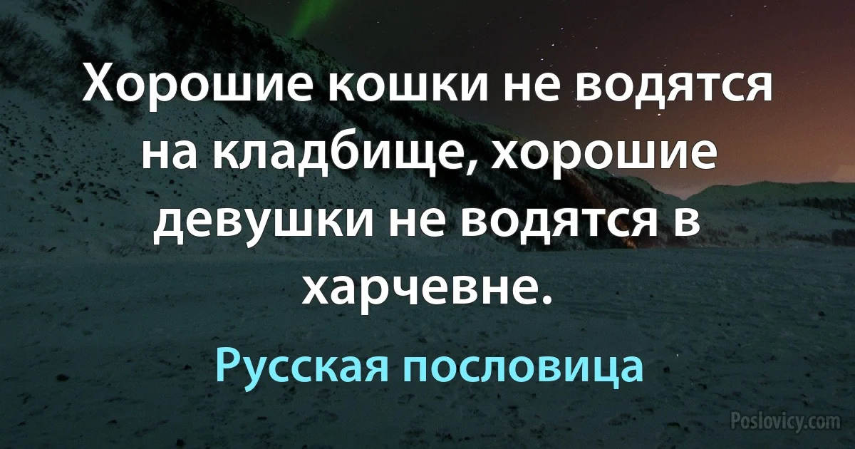 Хорошие кошки не водятся на кладбище, хорошие девушки не водятся в харчевне. (Русская пословица)