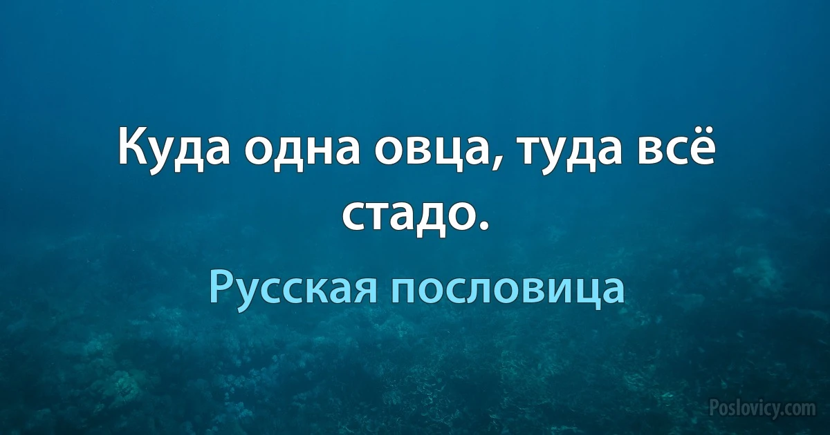 Куда одна овца, туда всё стадо. (Русская пословица)