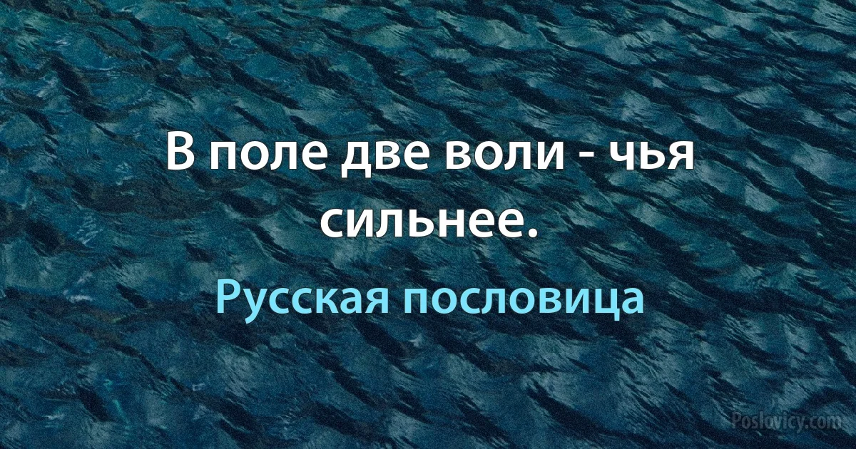 В поле две воли - чья сильнее. (Русская пословица)