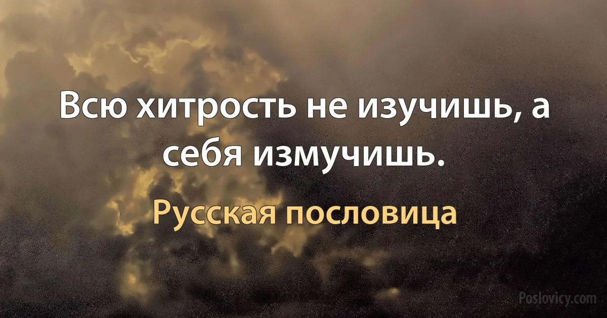 Всю хитрость не изучишь, а себя измучишь. (Русская пословица)