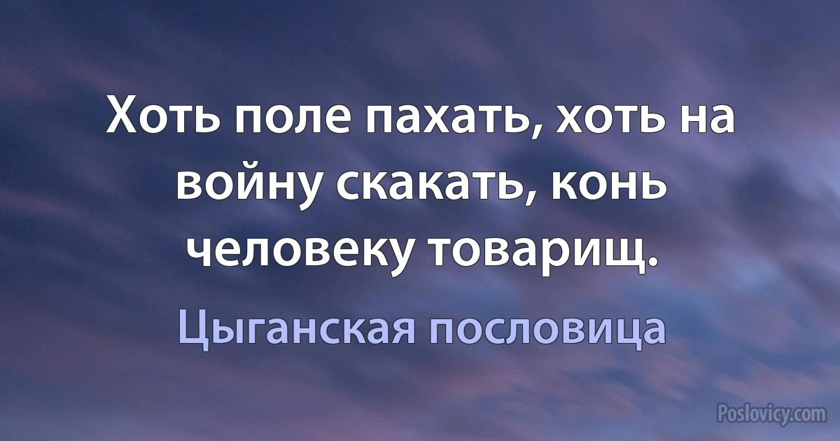 Хоть поле пахать, хоть на войну скакать, конь человеку товарищ. (Цыганская пословица)