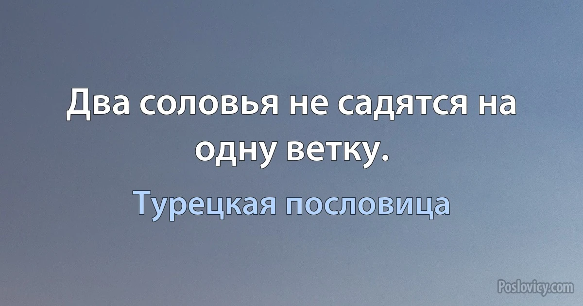 Два соловья не садятся на одну ветку. (Турецкая пословица)