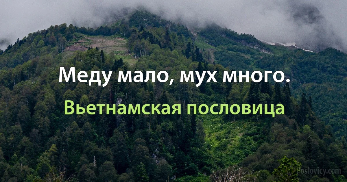 Меду мало, мух много. (Вьетнамская пословица)