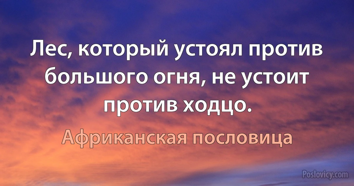 Лес, который устоял против большого огня, не устоит против ходцо. (Африканская пословица)