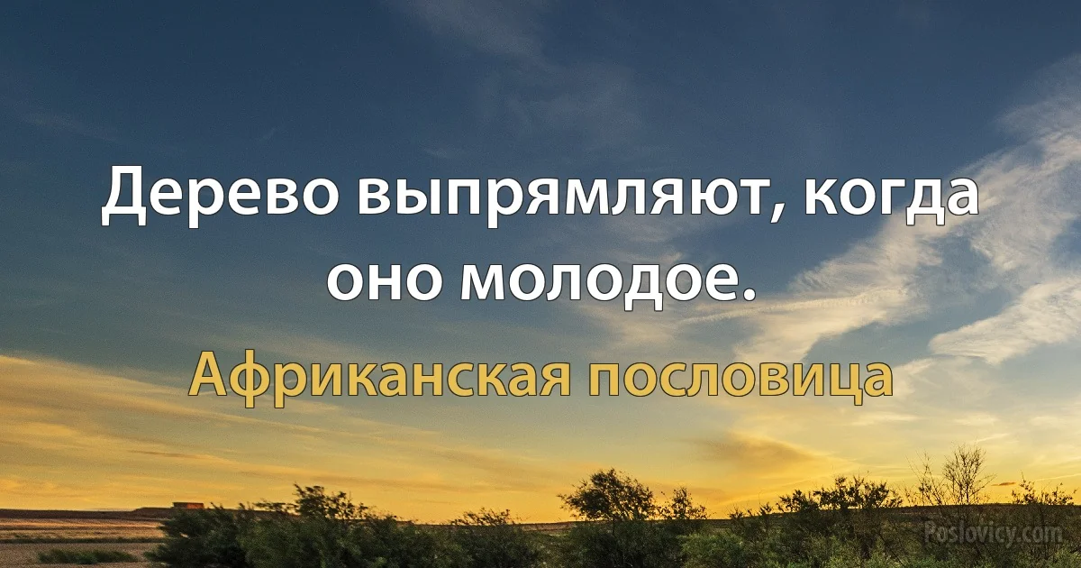 Дерево выпрямляют, когда оно молодое. (Африканская пословица)