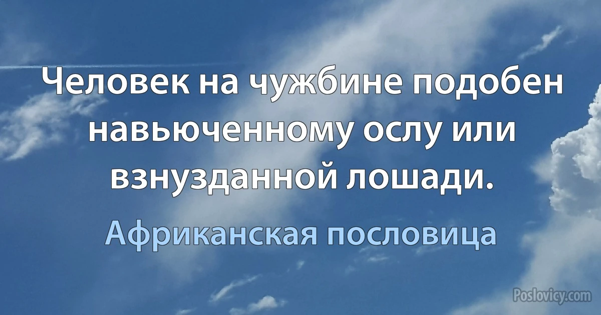 Человек на чужбине подобен навьюченному ослу или взнузданной лошади. (Африканская пословица)