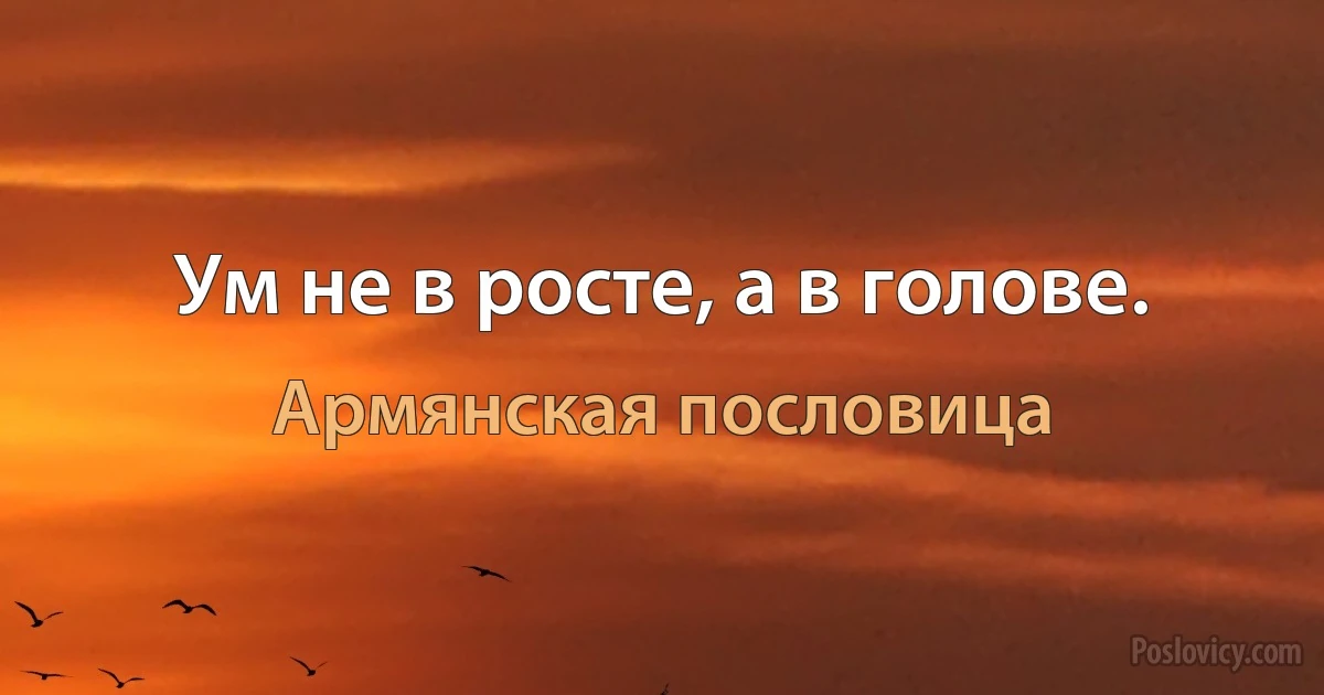 Ум не в росте, а в голове. (Армянская пословица)