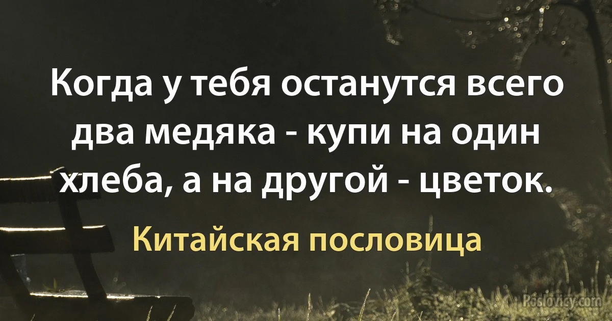 Когда у тебя останутся всего два медяка - купи на один хлеба, а на другой - цветок. (Китайская пословица)