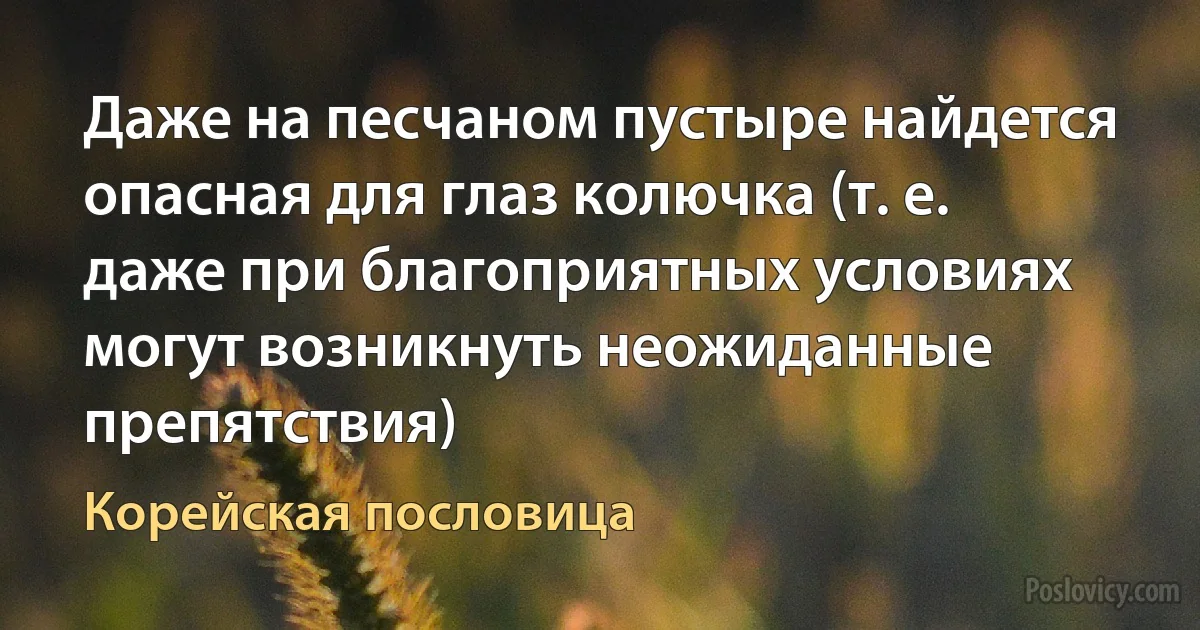 Даже на песчаном пустыре найдется опасная для глаз колючка (т. е. даже при благоприятных условиях могут возникнуть неожиданные препятствия) (Корейская пословица)