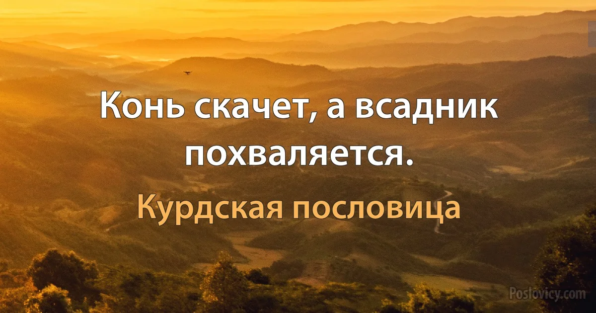 Конь скачет, а всадник похваляется. (Курдская пословица)