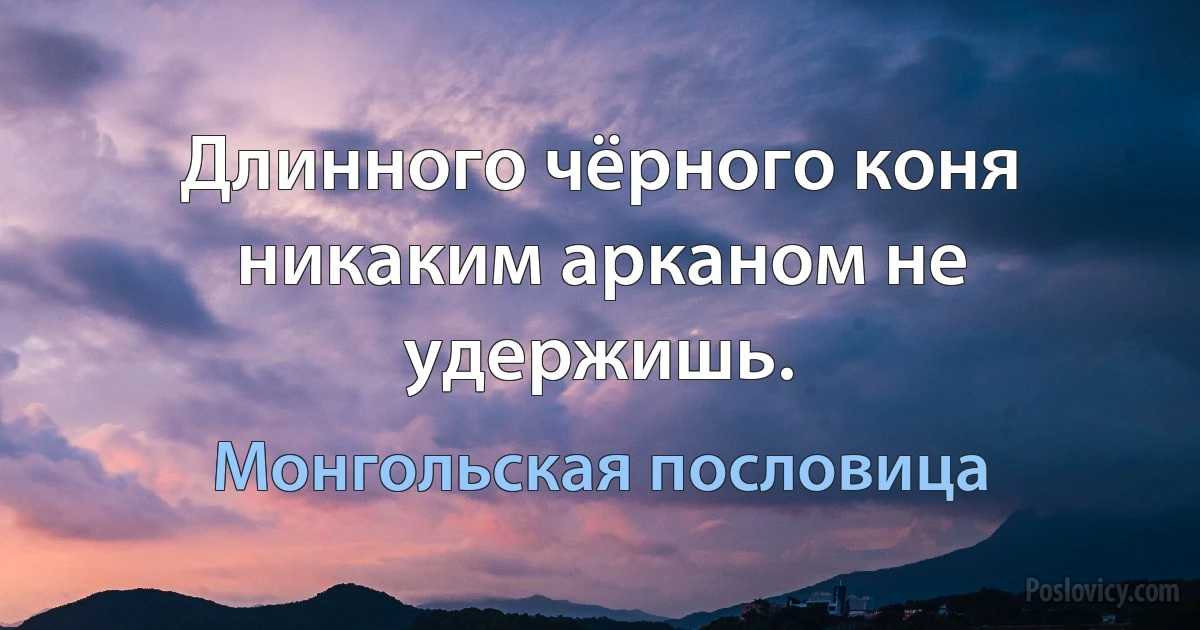 Длинного чёрного коня никаким арканом не удержишь. (Монгольская пословица)