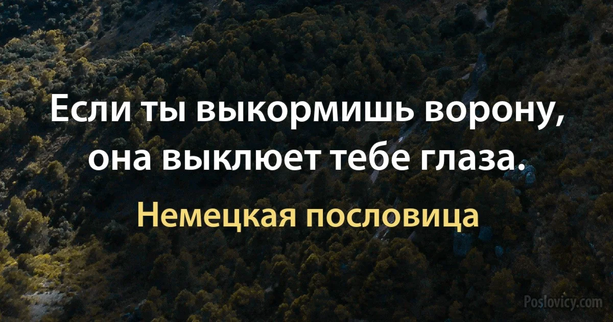 Если ты выкормишь ворону, она выклюет тебе глаза. (Немецкая пословица)