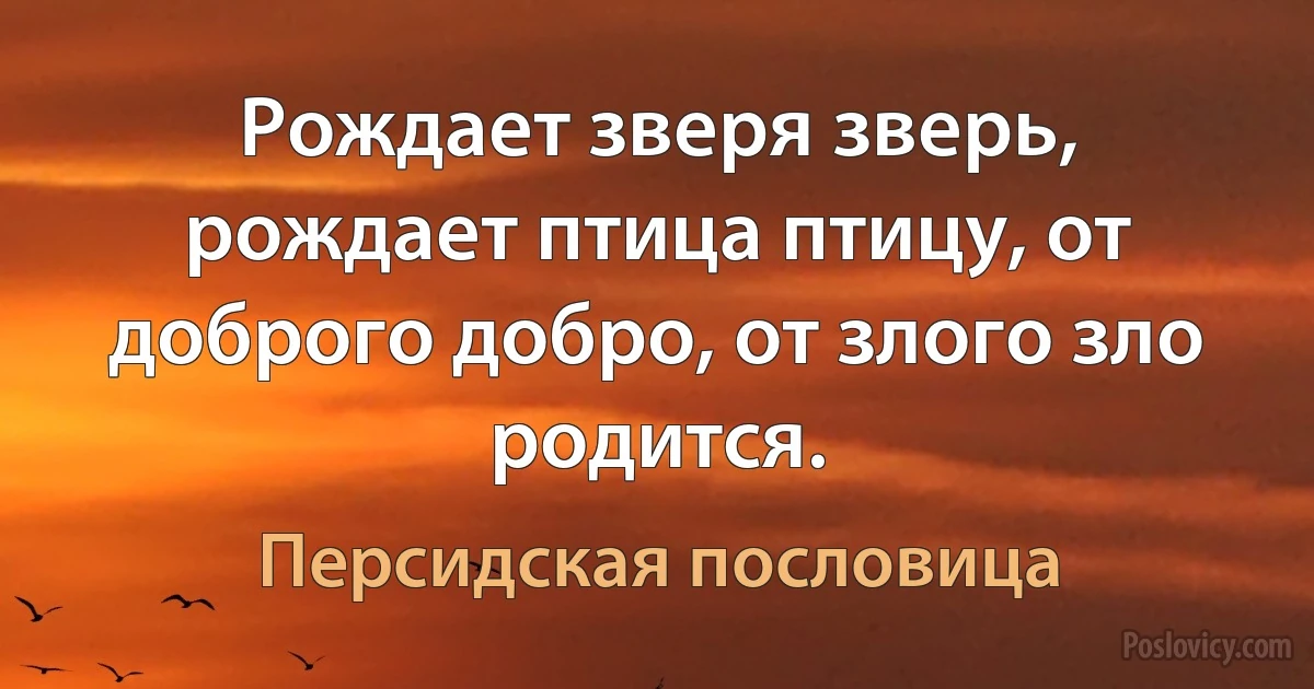 Рождает зверя зверь, рождает птица птицу, от доброго добро, от злого зло родится. (Персидская пословица)