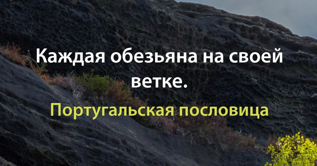 Каждая обезьяна на своей ветке. (Португальская пословица)