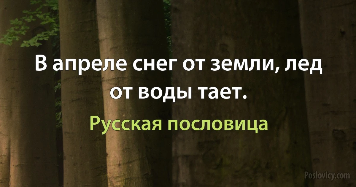 В апреле снег от земли, лед от воды тает. (Русская пословица)