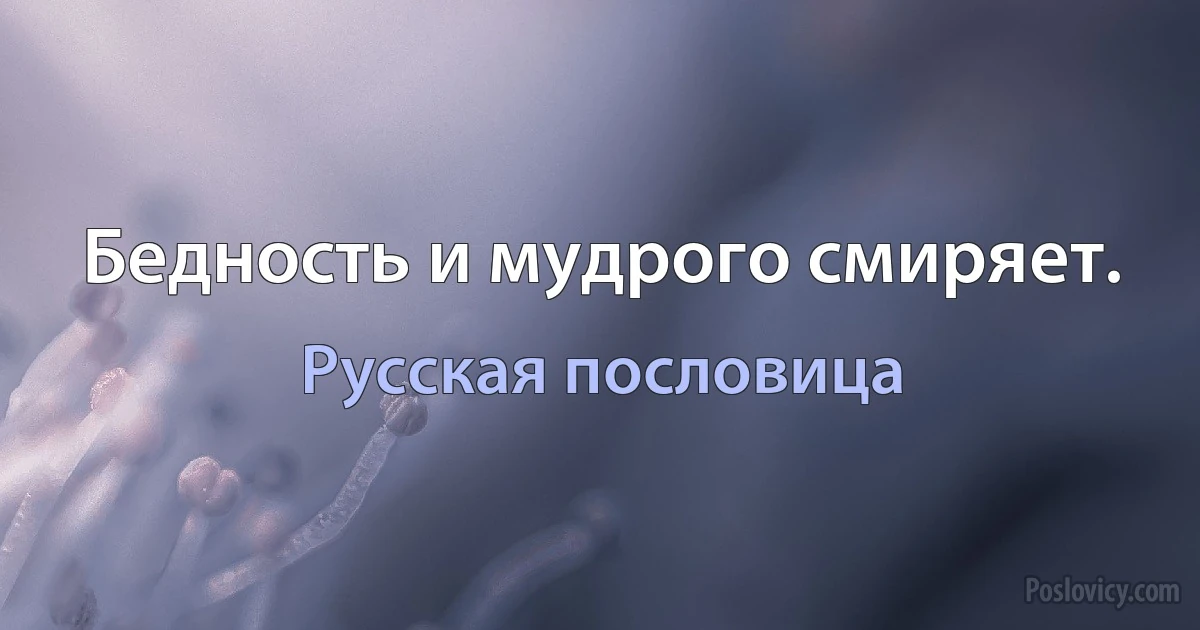 Бедность и мудрого смиряет. (Русская пословица)