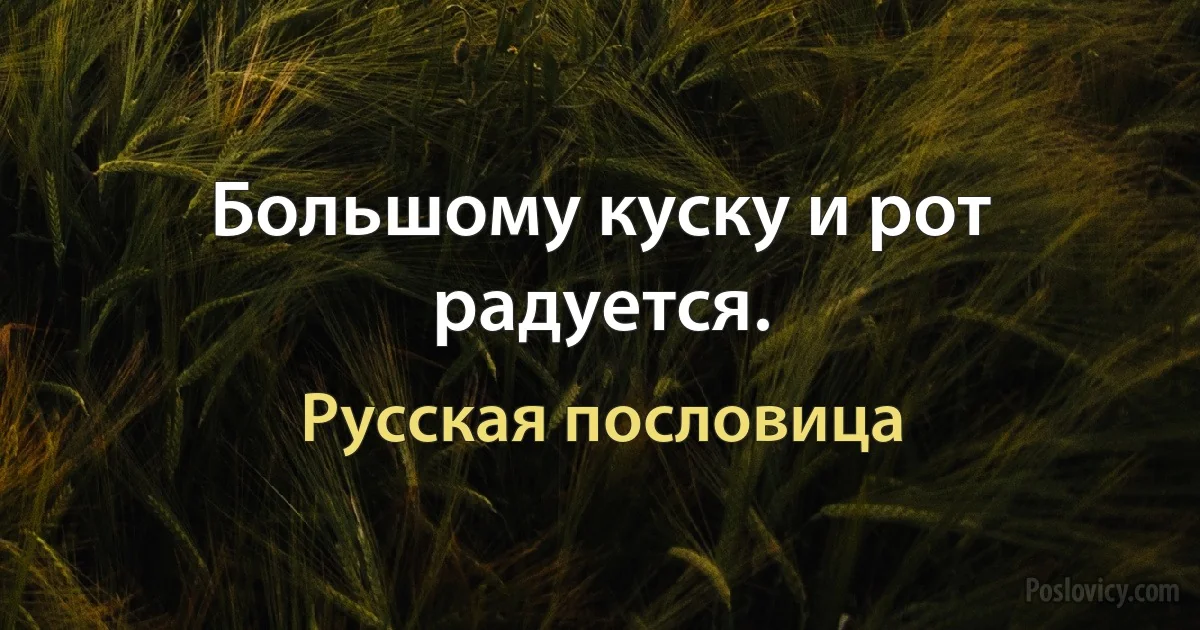 Большому куску и рот радуется. (Русская пословица)