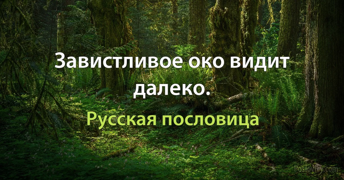 Завистливое око видит далеко. (Русская пословица)