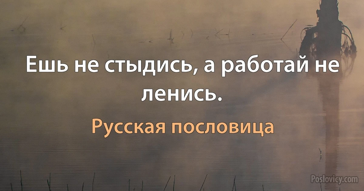 Ешь не стыдись, а работай не ленись. (Русская пословица)