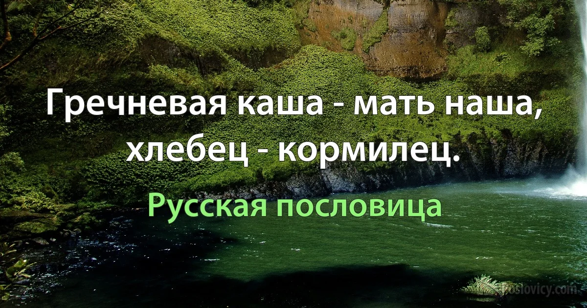 Гречневая каша - мать наша, хлебец - кормилец. (Русская пословица)