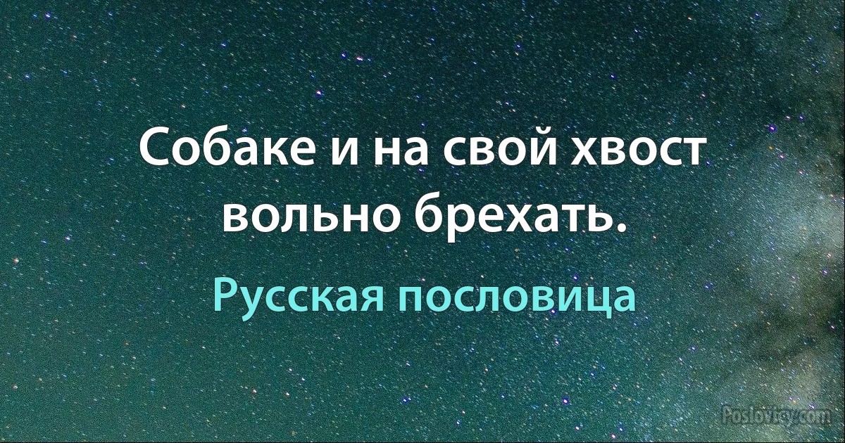 Собаке и на свой хвост вольно брехать. (Русская пословица)